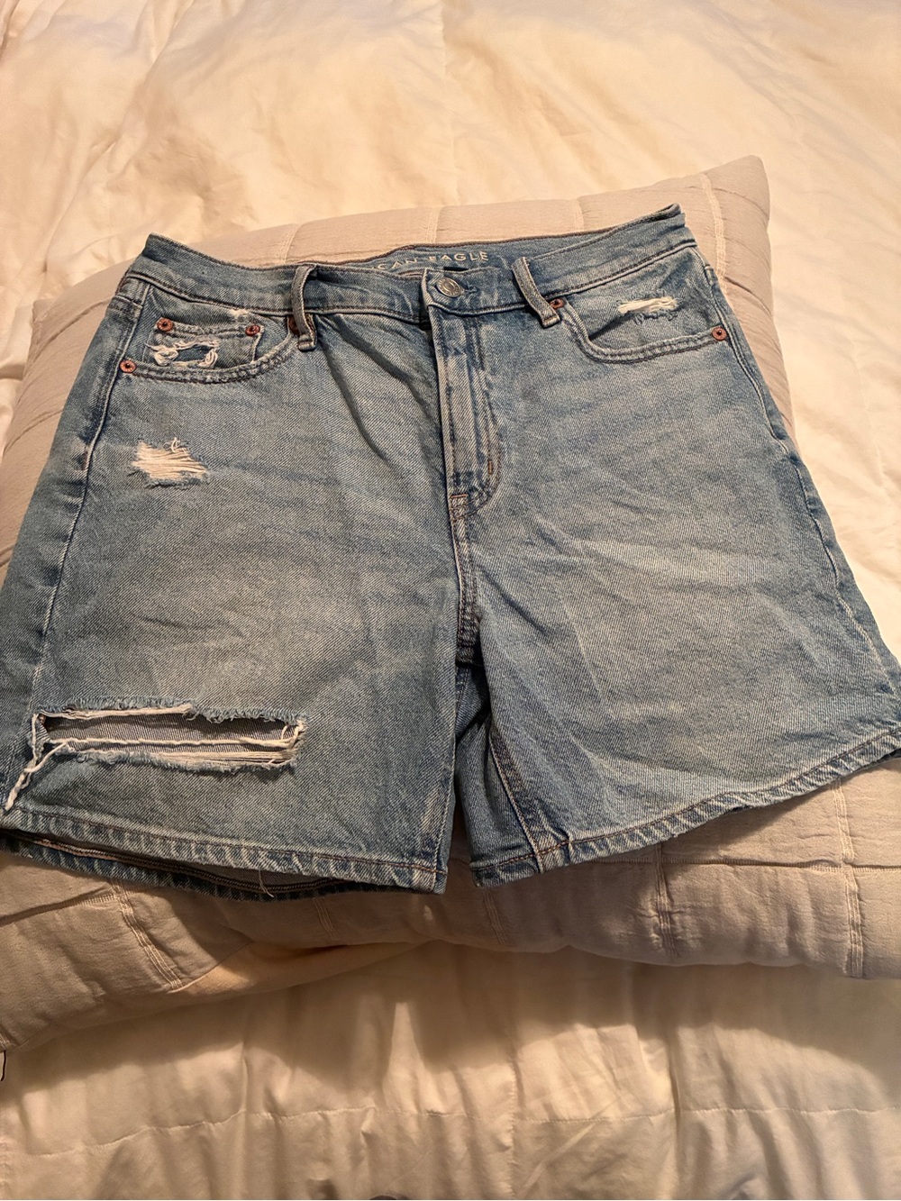 American Eagle Outfitters Light Wash Distressed Denim Shorts
